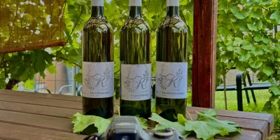 28 L&K Wine